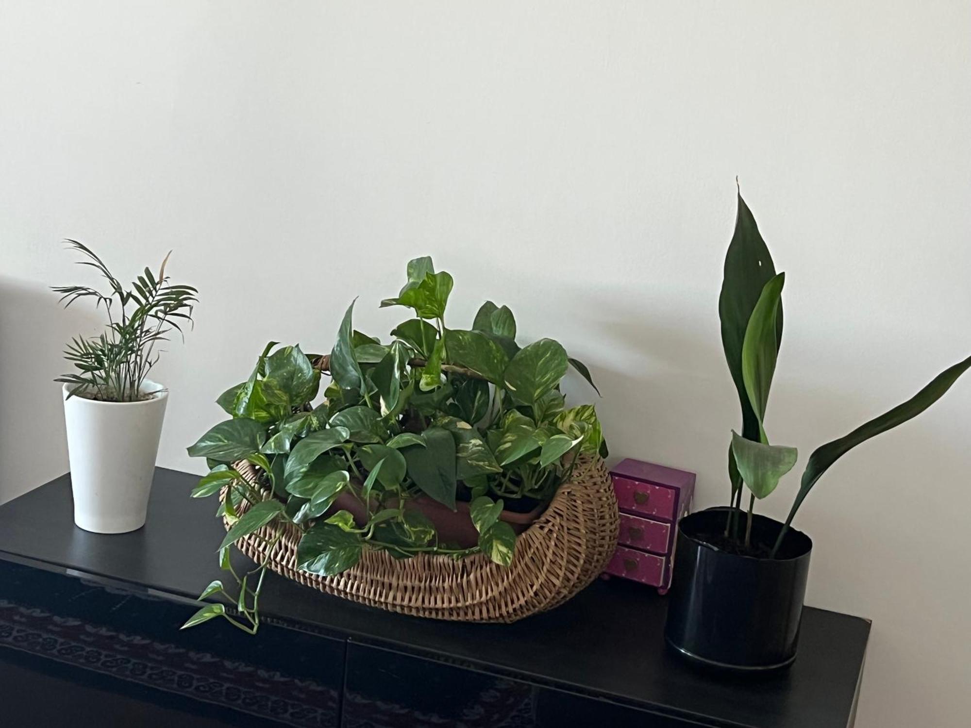 Friends And Family Apartment Brescia Ngoại thất bức ảnh